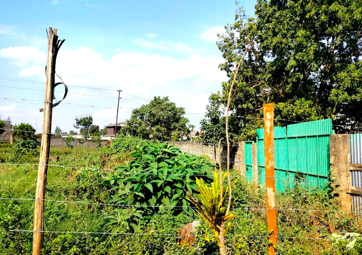 Half Acre Runda Plot at KSh 48M