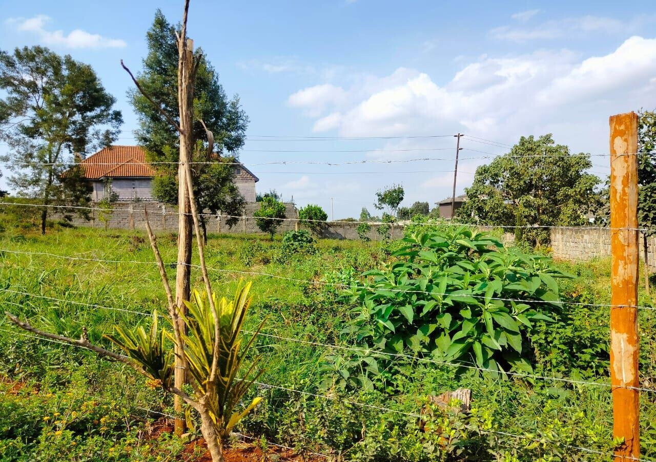 Half Acre Runda Plot at KSh 48M