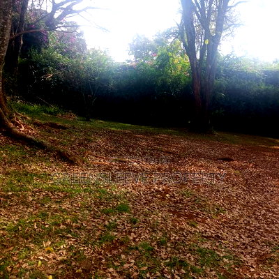 Land for Sale - Image 14