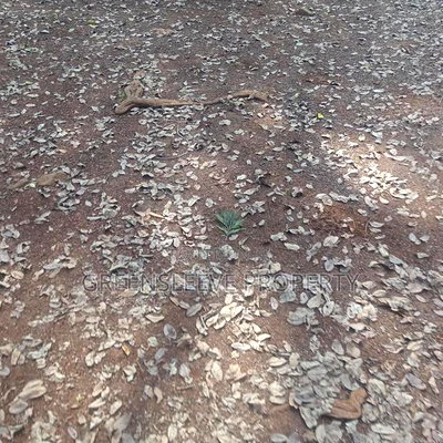 Land for Sale - Image 13