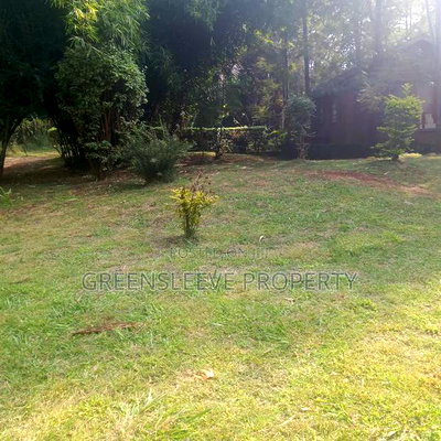 Land for Sale - Image 9