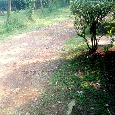 Land for Sale - Image 3