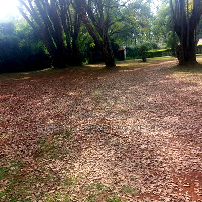 Land for Sale - Image 16