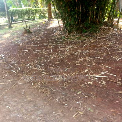 Land for Sale - Image 6