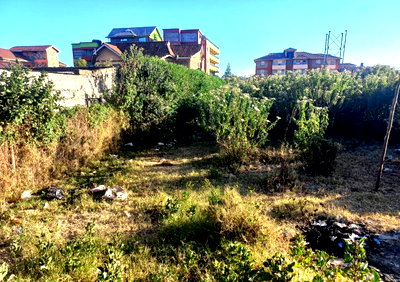 Quarter Acre Plot with Garden - Limuru