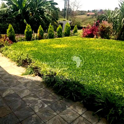 5bdrm Mansion in Dykio, Ruiru for sale - Image 2