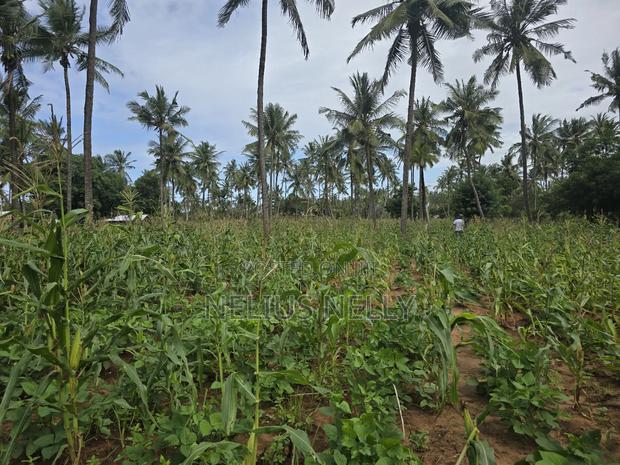 1acre for Sale Kituoni Kilifi