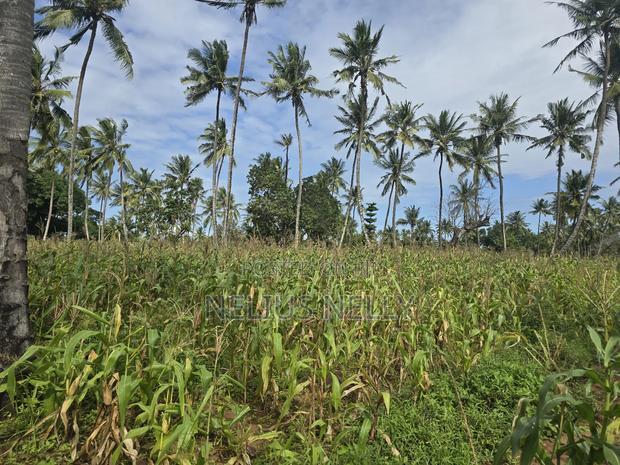 1acre for Sale Kituoni Kilifi