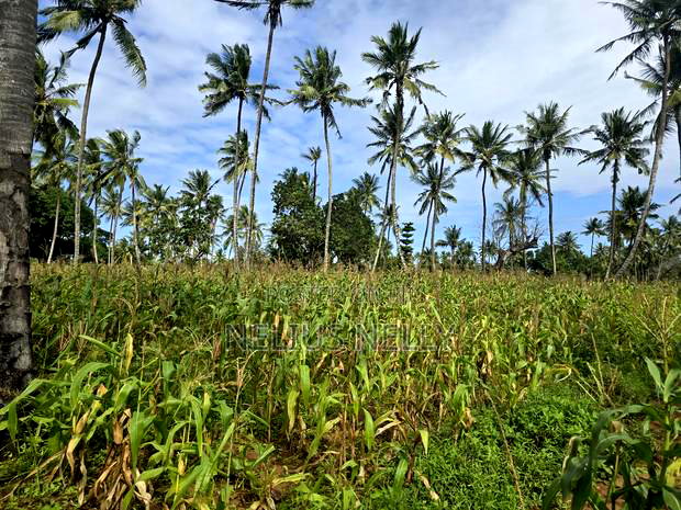 1acre for Sale Kituoni Kilifi