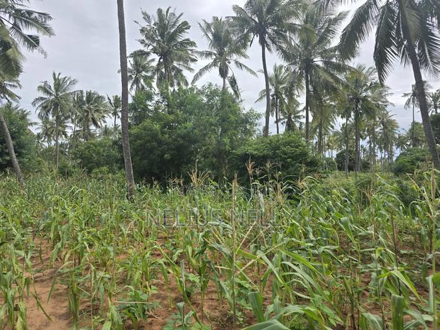 1acre for Sale Kituoni Kilifi