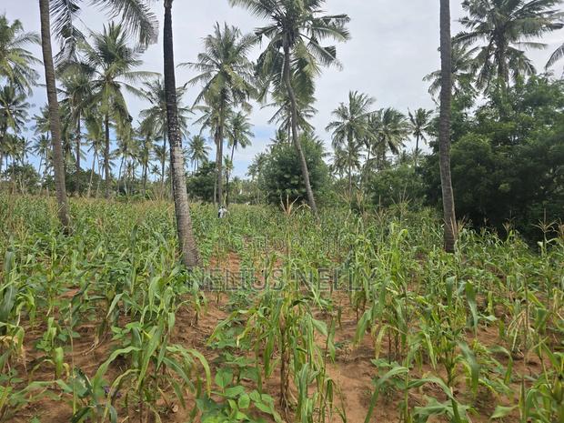 1acre for Sale Kituoni Kilifi