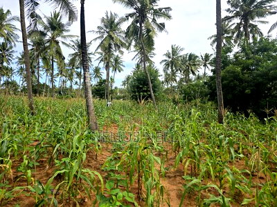 1acre for Sale Kituoni Kilifi - Image 2