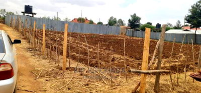1/4 Plot for Sale in Kipkorgot Misoi in Eldoret - Image 5