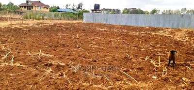 1/4 Plot for Sale in Kipkorgot Misoi in Eldoret - Image 3