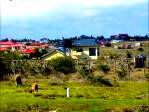 50x100 Plot with Garden at KSh 429K