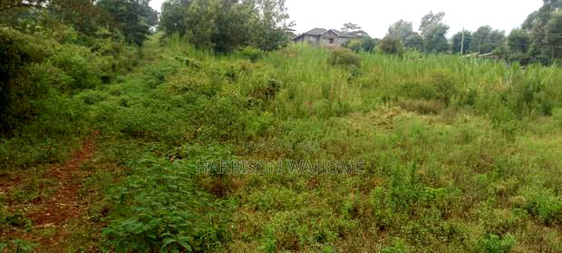 50*100 Plot for Sale in Ngong Lemiso Road.