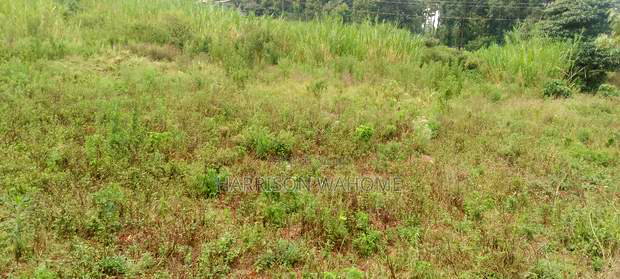 50*100 Plot for Sale in Ngong Lemiso Road.