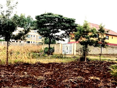 Kenol, Githanji Estate 40x80. - Image 4