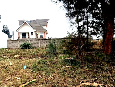 Kenol, Githanji Estate 40x80. - Image 5