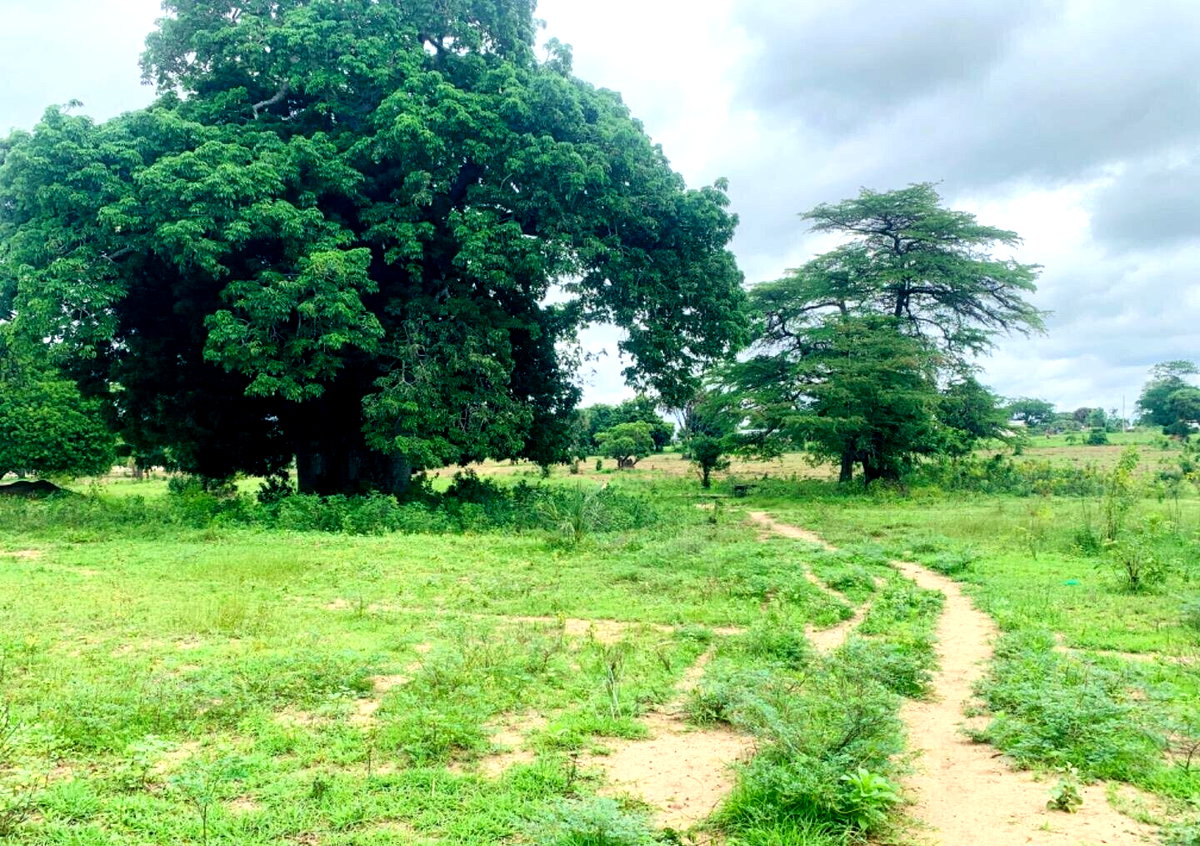 5-Acre Plot in Malindi for KSh 35M
