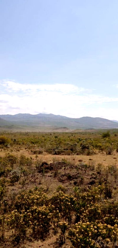 50x100 Plot for KSh 175K