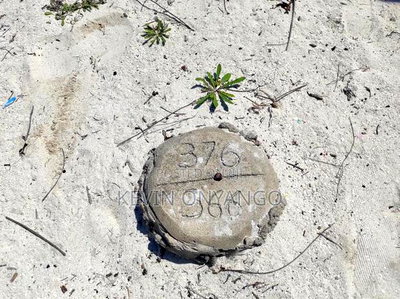 9 Acres of Beach Front Plots, Watamu - Image 6