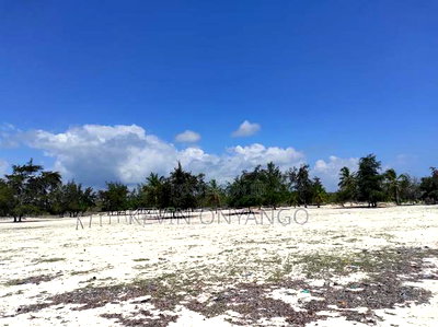 9 Acres of Beach Front Plots, Watamu - Image 3