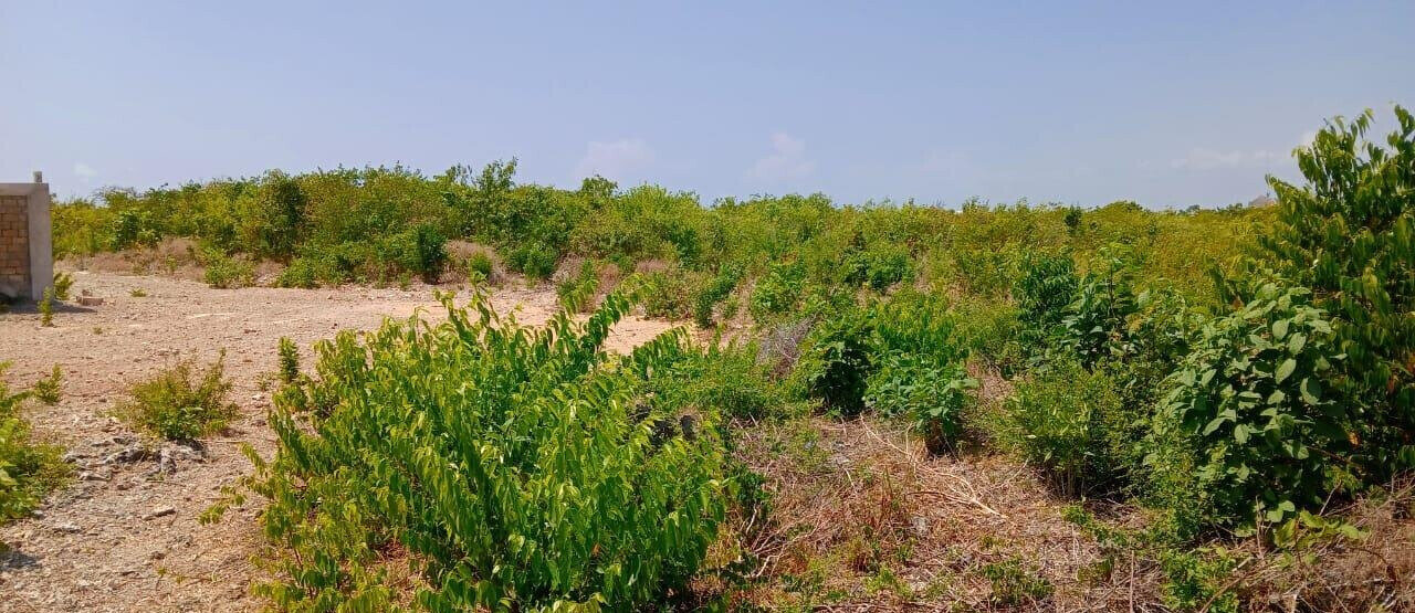 12-Acre Land at KSh 7M
