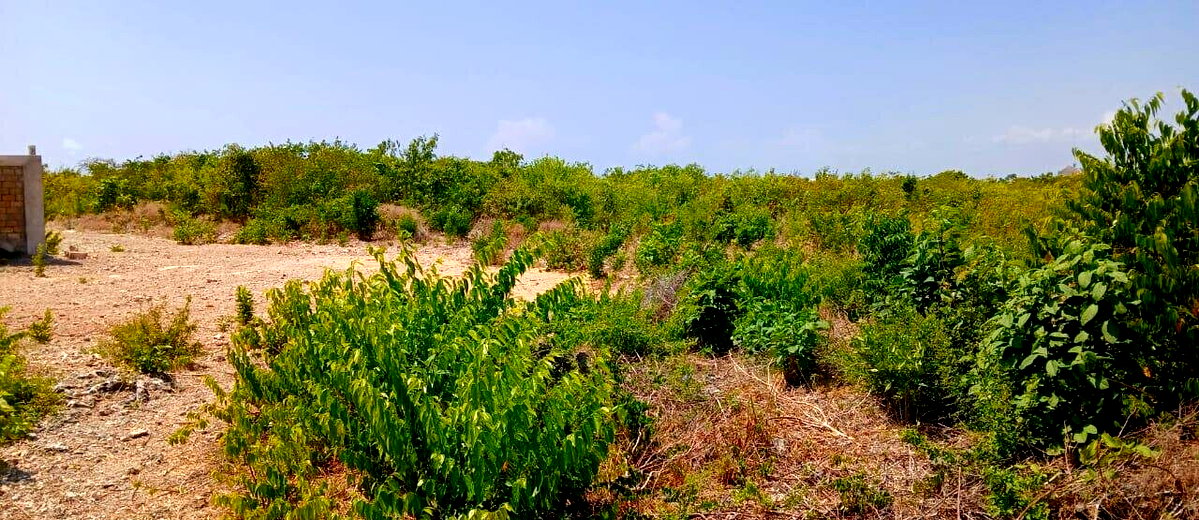 12-Acre Land at KSh 7M
