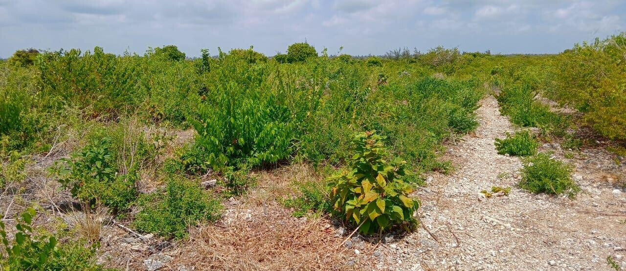 12-Acre Land at KSh 7M