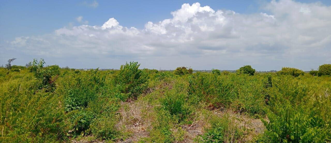 12-Acre Land at KSh 7M