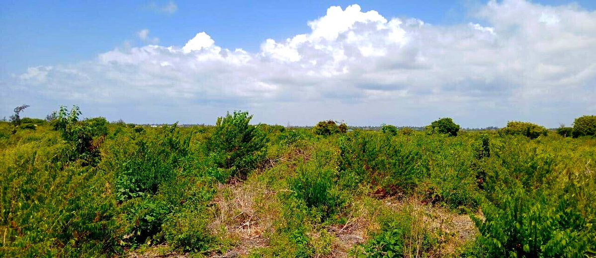 12-Acre Land at KSh 7M