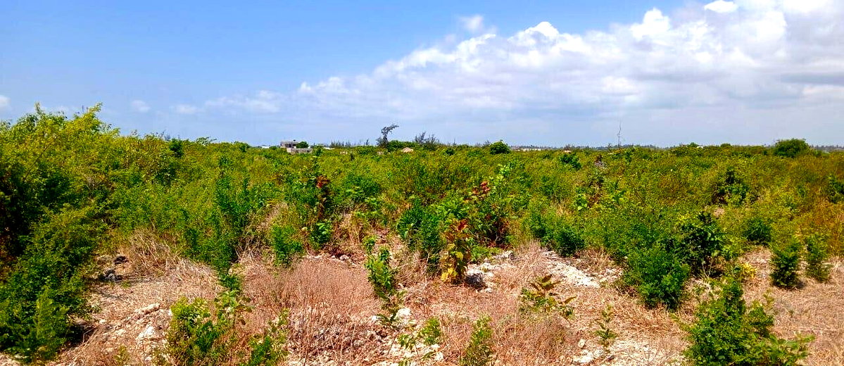 12-Acre Land at KSh 7M