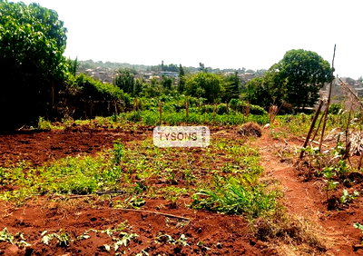 Half Acre Plot in Thome Estate