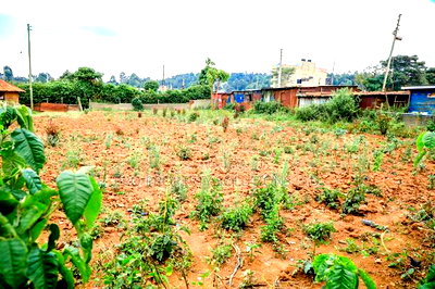 Prime Commercial Plot for Sale in Kikuyu, Lusigetti - Image 1