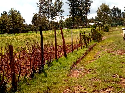 Best Deal Plots - Image 3