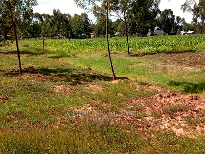 Best Deal Plots - Image 1