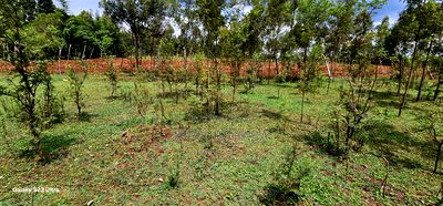 1 Acre for Sale in Mlango Near Ngara Falls Kapseret Eldoret - Image 5