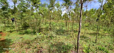 1 Acre for Sale in Mlango Near Ngara Falls Kapseret Eldoret - Image 1