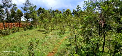 1 Acre for Sale in Mlango Near Ngara Falls Kapseret Eldoret - Image 4