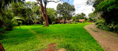 KSh 650K 3BR Haven