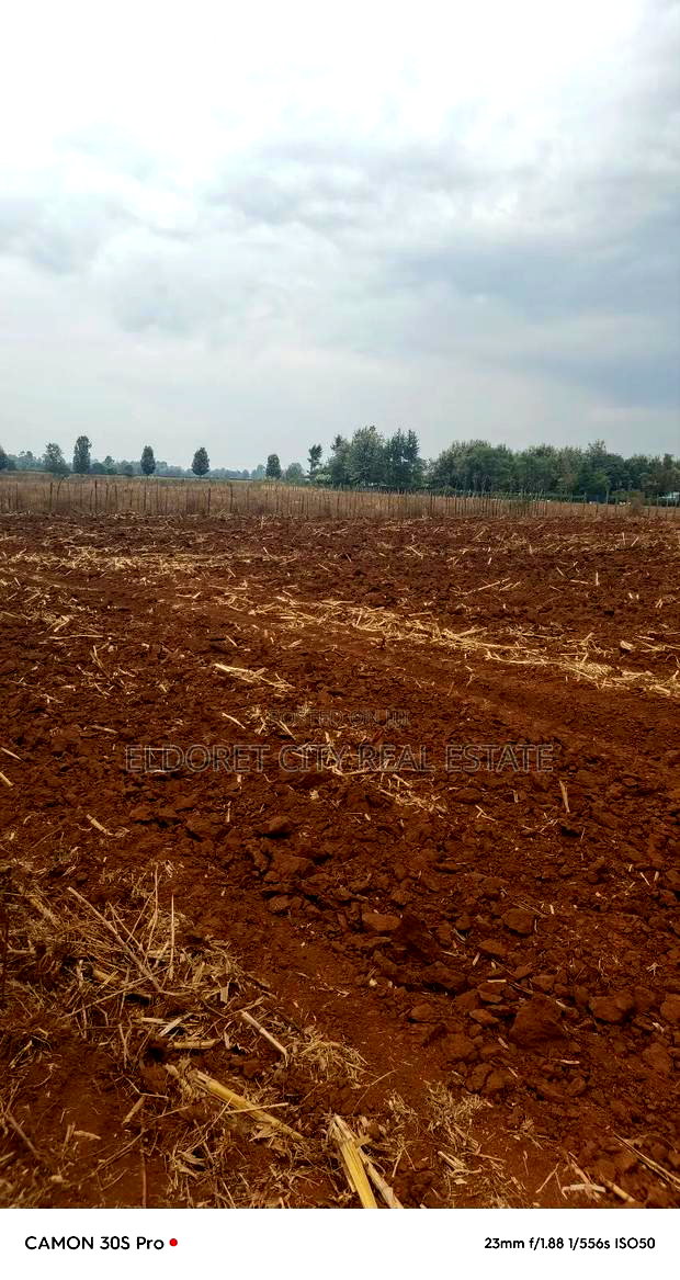 2.5 Acres Kabenes/Kapsang With Title