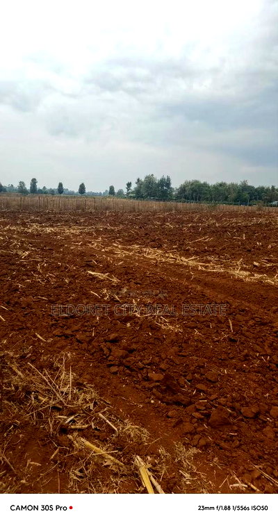 2.5 Acres Kabenes/Kapsang With Title - Image 1