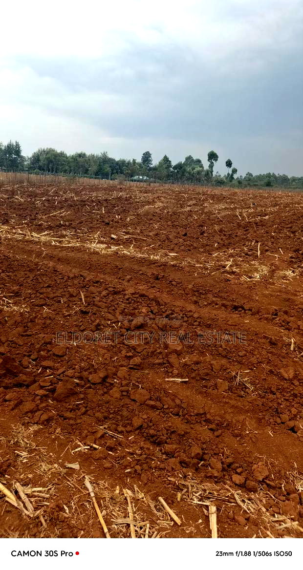 2.5 Acres Kabenes/Kapsang With Title