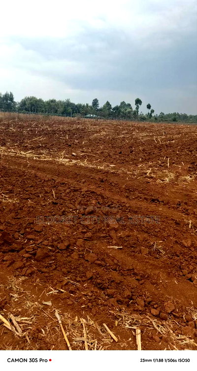 2.5 Acres Kabenes/Kapsang With Title - Image 2