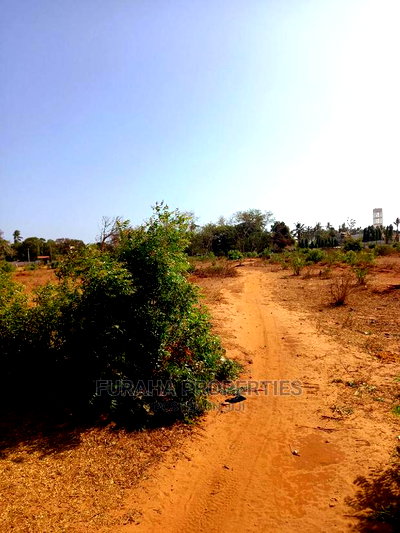 For Sale 4 Acre Land Mtapa - Image 4