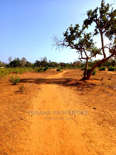 For Sale 4 Acre Land Mtapa - Image 2