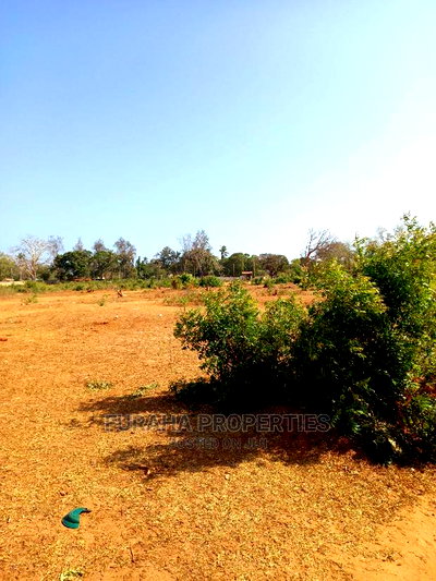 For Sale 4 Acre Land Mtapa - Image 5