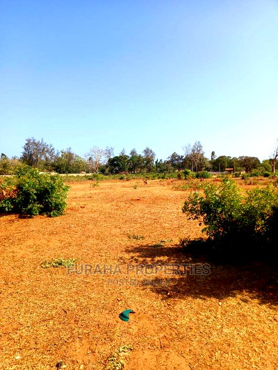For Sale 4 Acre Land Mtapa - Image 6