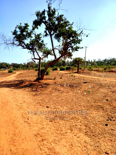 For Sale 4 Acre Land Mtapa - Image 1